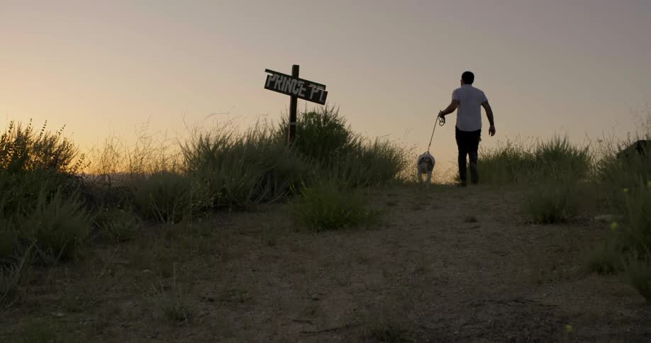 Man with beard and sunglasses walks dog uphill at dusk