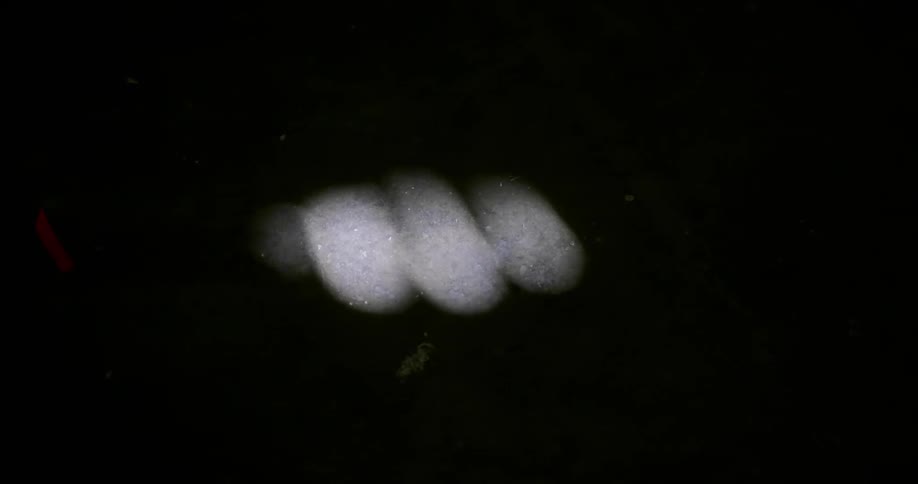 Balls of blurry light move against a black background and fade out