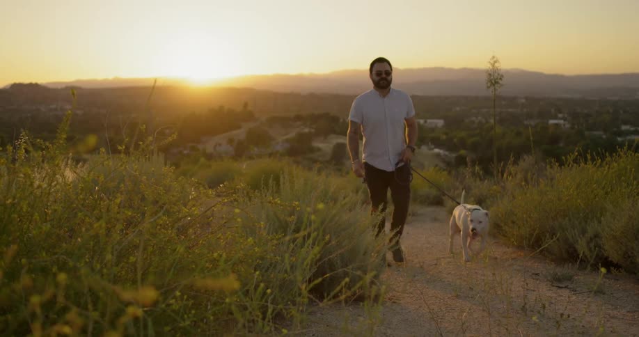 A man walking his dog through a field