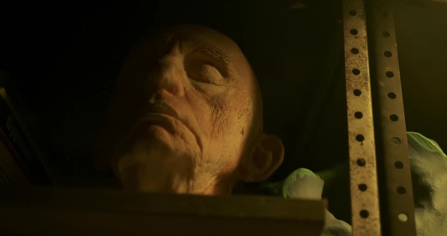 A prop head resting on a shelf in a dimly lit room