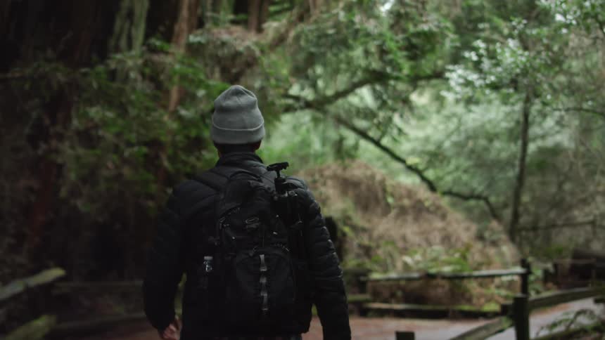 Male wearing a backpack looks around as he walks along a man made trail in a wooded area of a nature center