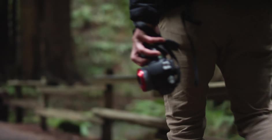 Male photographer holding a camera crosses the wooden bridge in the woods