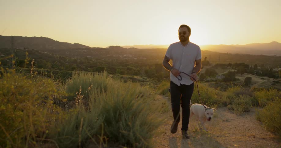 A man walks his dog on a leash through the brush at sunset