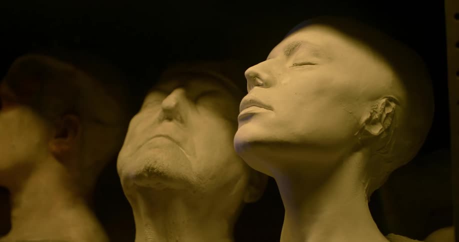 Sculptures of men and womens heads sit on a shelf