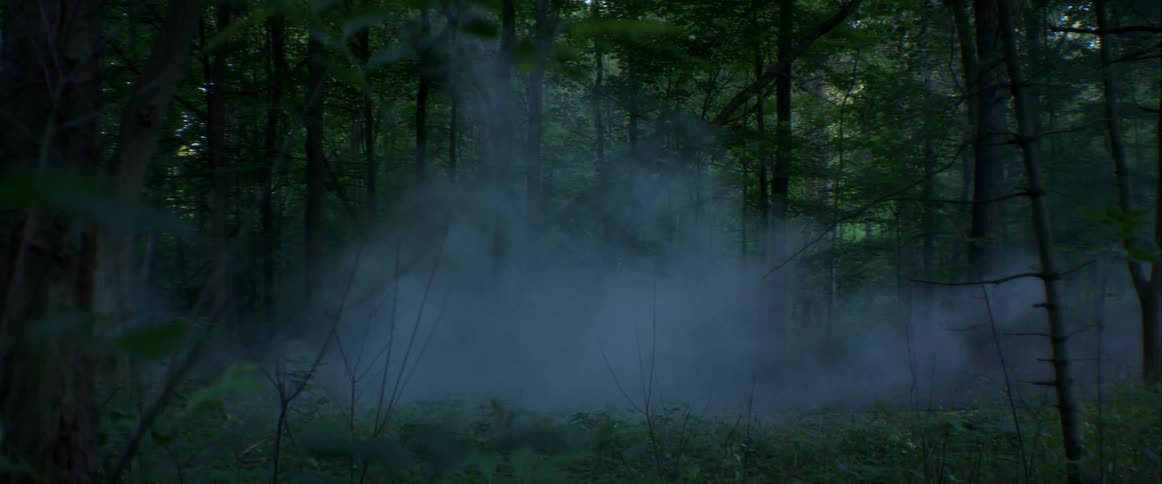 A sports car speeds through a patch of fog on a forest road