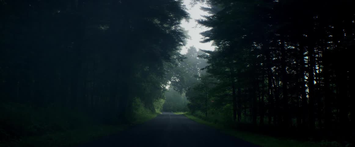 A shaded road during the day