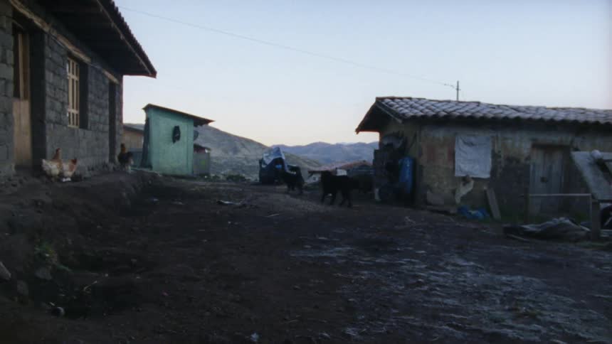 Dogs and chickens outside buildings in a rural area