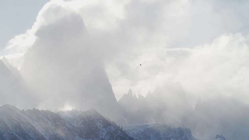 A bird flies over an enormous range of mountains