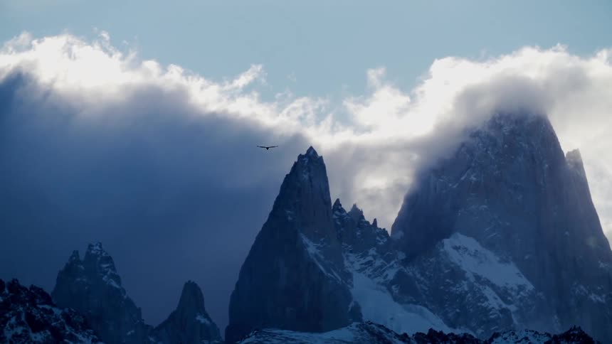 Bird flies in the air over snowy mountains covered by clouds