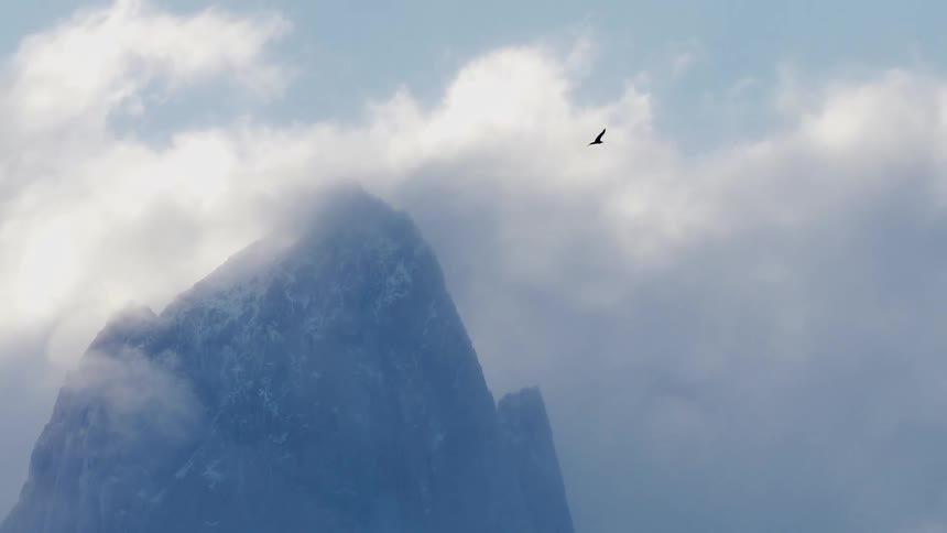 A bird flying over a mountain shrouded by clouds