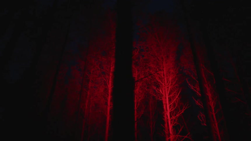 A forest of trees lit up with an eerie red light