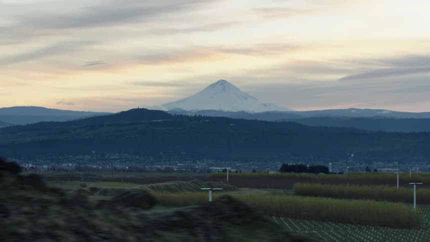 Orchards pass by the foreground but the focal point is the looming summit of Mount Hood and sunset clouds