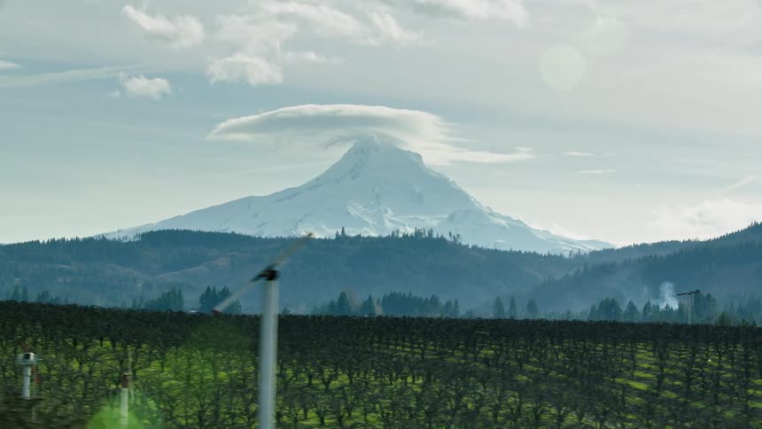 Mount Hood with a lenticular cloud cap towers fruit orchards and farm houses from the point of view of a passing car looking out the window