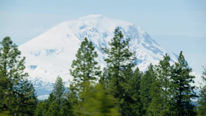 Looking out the drivers window of the moving car a Mount Adams as it rises high above the foreground forest and clear blue sky