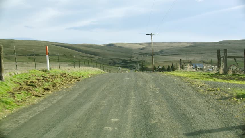 Looking back on a dirt road a white sheep dog watching over the ranch as the vehicle drives by