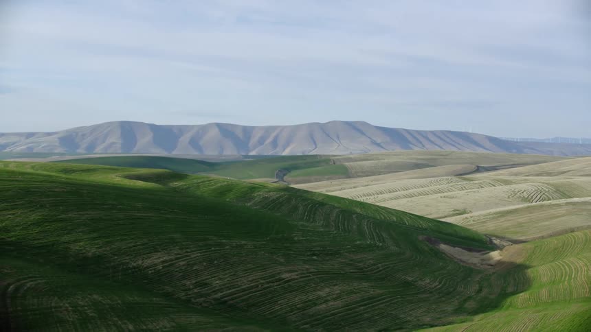 Looking out the window of the farm truck admiring the hills of rolling green grass in early spring on a warm sunny day