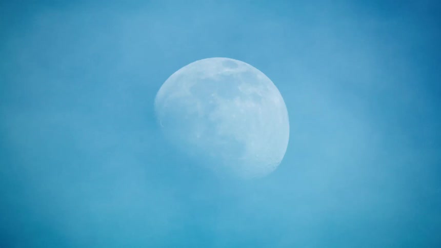 Looking up at waning full moon in the early evening sky before the moon is obscured by passing trees