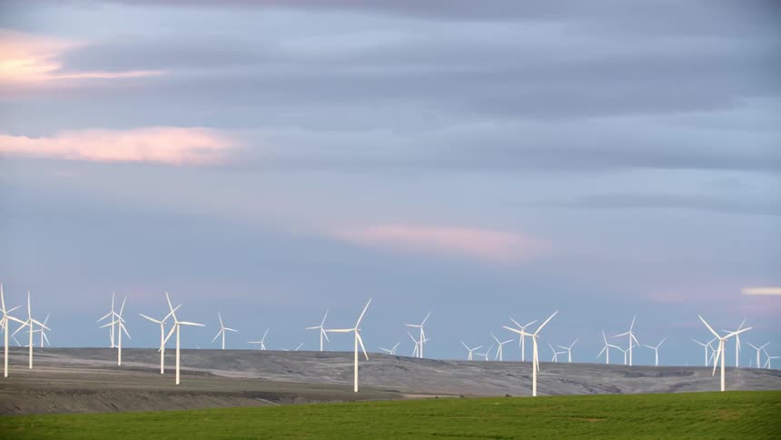 Dolly shot of a beautiful sunset sky, green grass foreground and many whirling blades of white wind turbines on the horizon