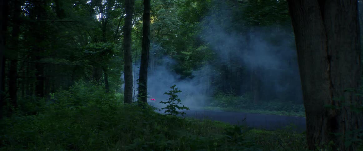 A sports car drives on a foggy forest road