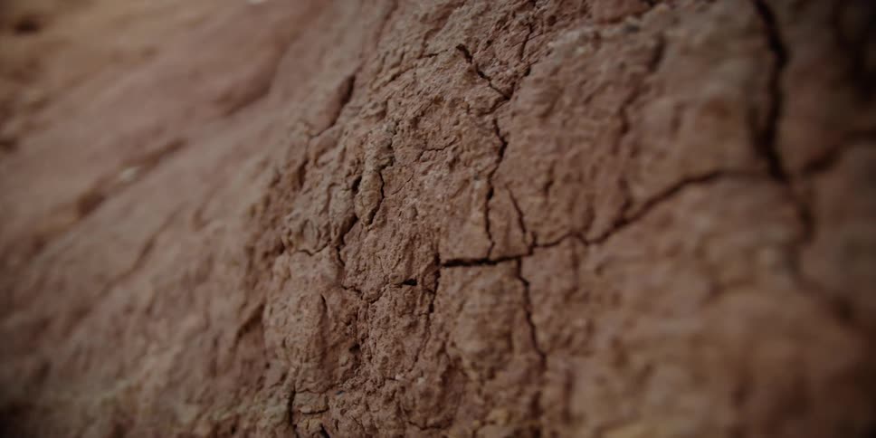 Close up of cracks on rocks in a canyon