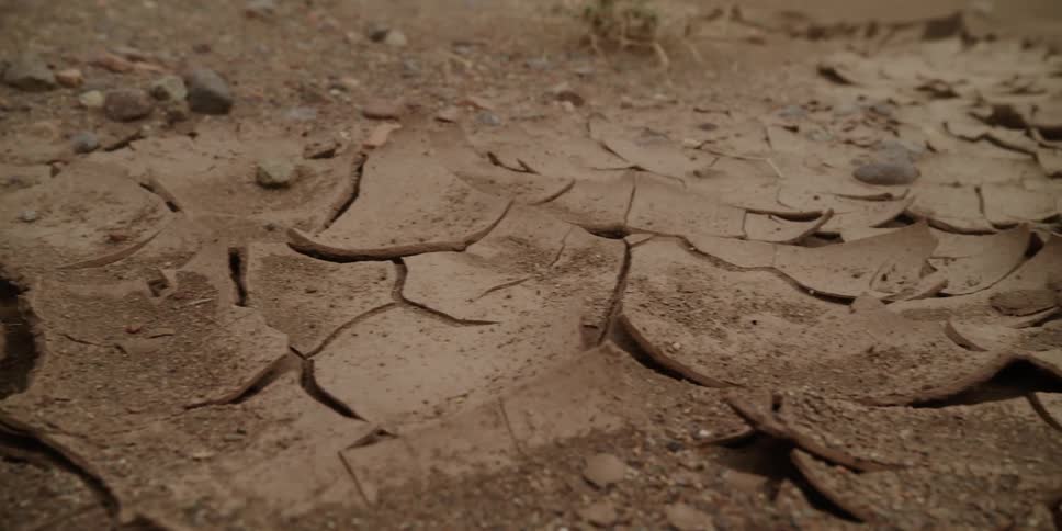 A desert ground is displayed