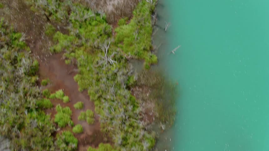 Crystal blue water along a shoreline