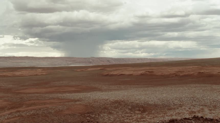 Landscape view of a wide open field