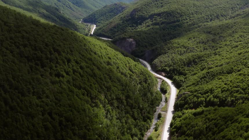 A river and road through a forest