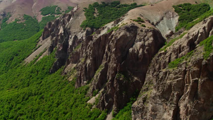 Dense trees and bushes grow at the base of a canyon