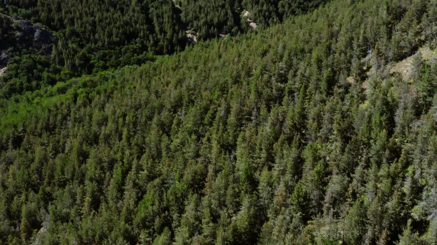 An aerial view of a valley and mountain forest during the day