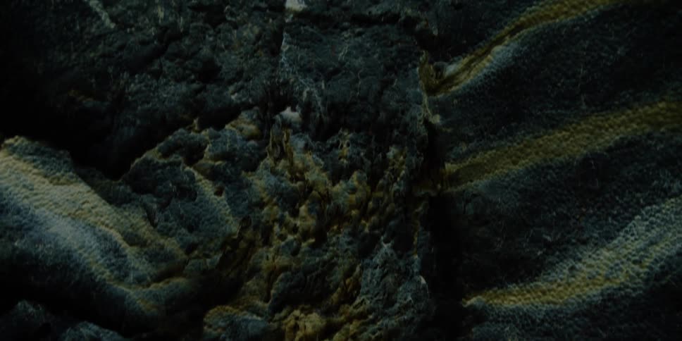 Rocks on the side of a mountain covered in different types of mosses