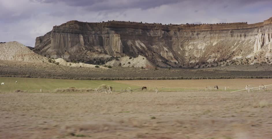 A grassy plain with horses with a cliff in the background