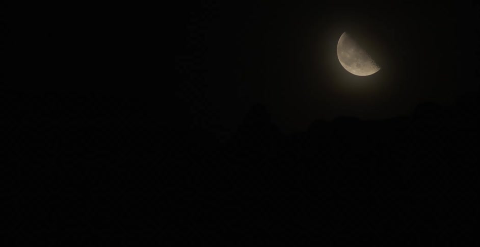 A half moon is visible in night sky