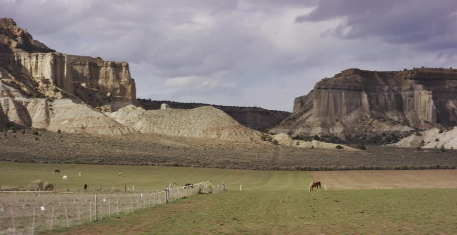 Horses in a field at the base of some mountains