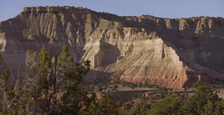 Trees grow at the base of a canyon