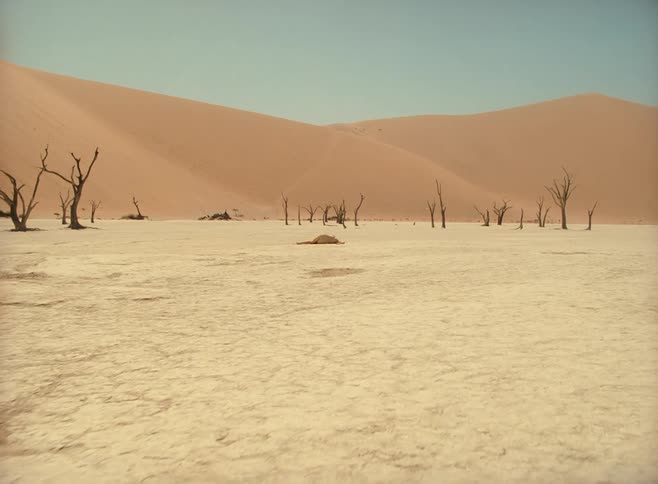 Female dancer lies down on sand in desert with dead trees and sand dune in the background