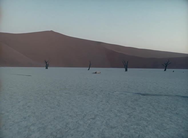 A white woman lies on the ground in a desert