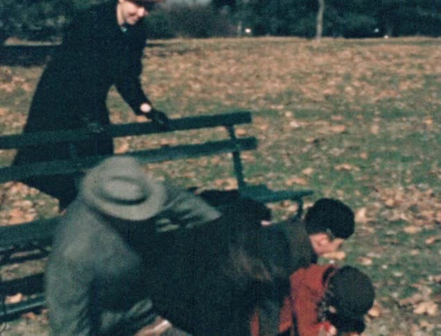 A white family play while sitting on a park bench and fall to the ground laughing