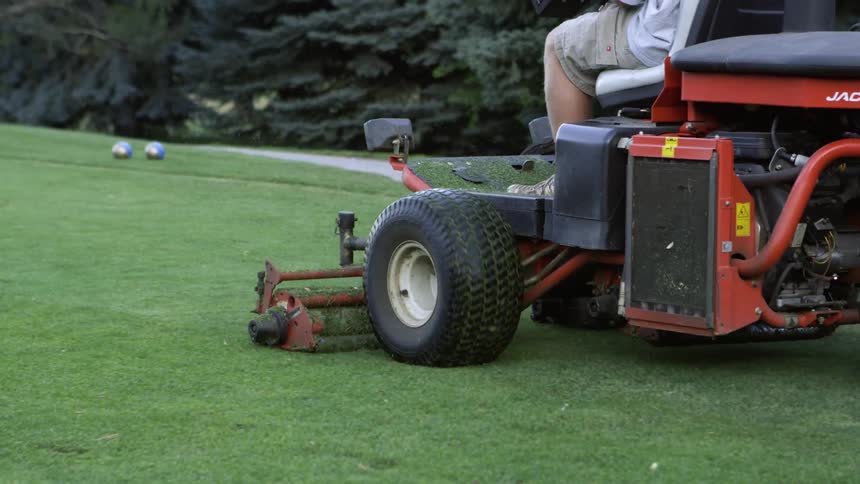 Male riding on a fairway lawn mower enters the green of the golf course and lowers the blades to start cutting the grass