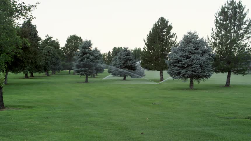 Sprinklers water the grass on a golf course