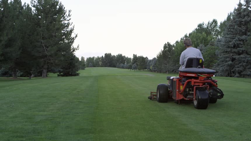 A man drives a cart on a golf course