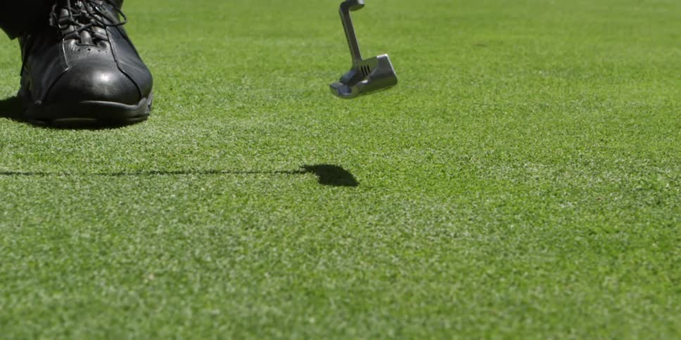 A person puts the golf ball on the green