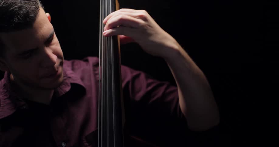 A musician is performing with an upright bass