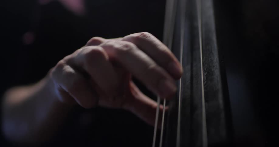 Close up shot of a hand strumming an upright bass
