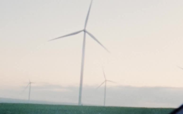 A grassy plain with a wind turbine farm with the sky in the background