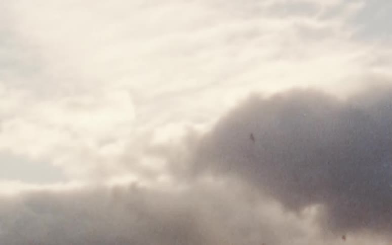The silhouette of birds flying and soaring against a cloudy sky