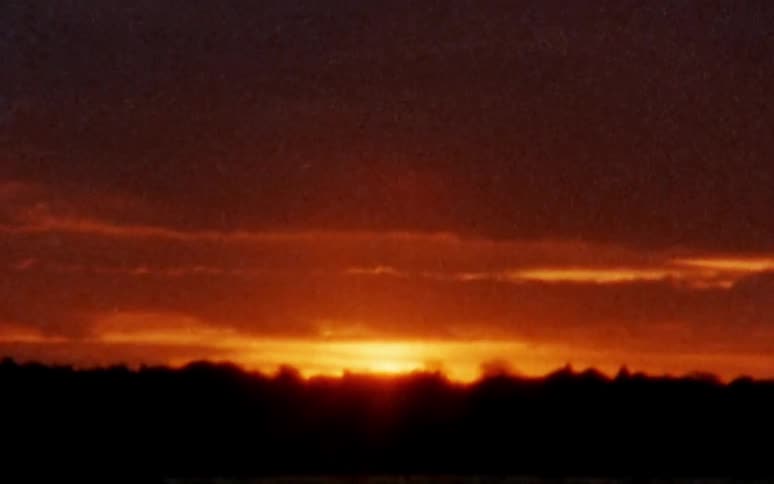 The rising sun glows bright yellow over the tree line silhouette in an orange sky