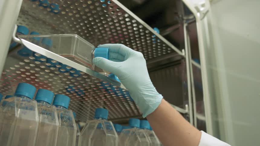 A woman in a lab grabs a specimen tray