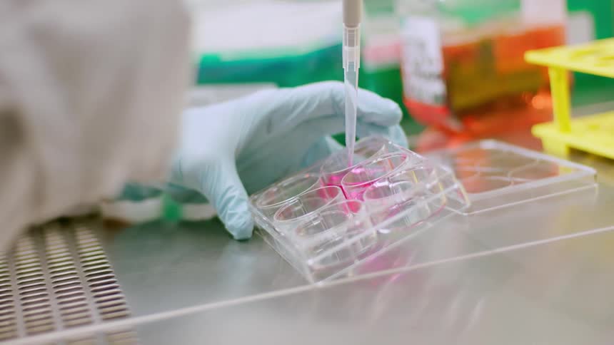 Doctor works in a laboratory