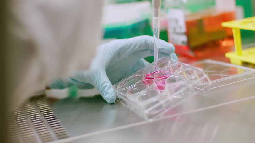 A person with gloves pouring a pink chemical with a dripper